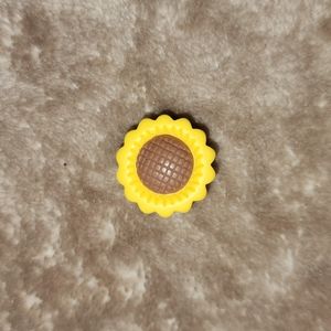 💥 5/$15 Croc Charm